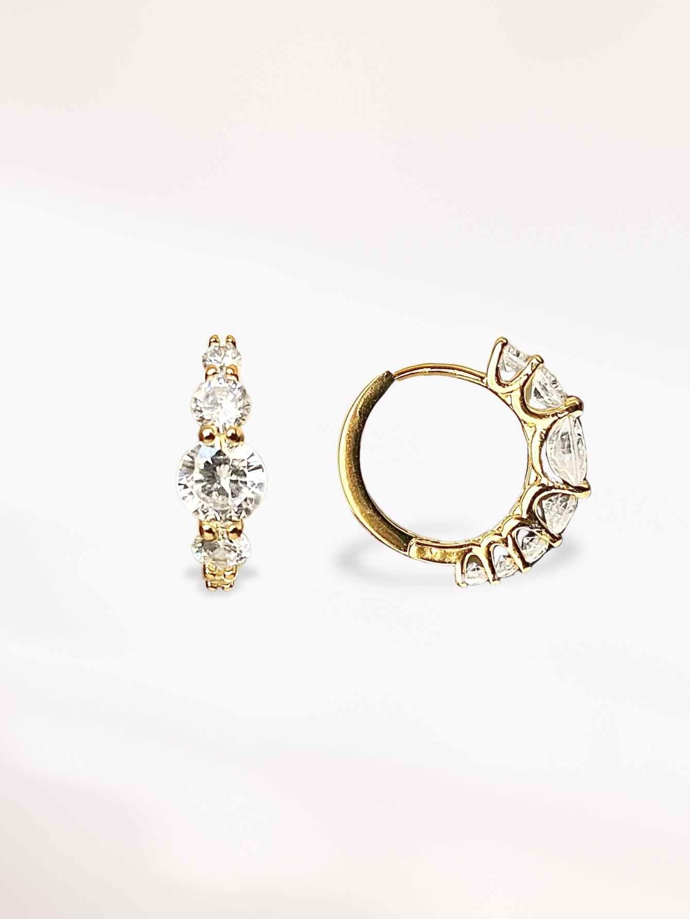 Gold Hoop Earrings