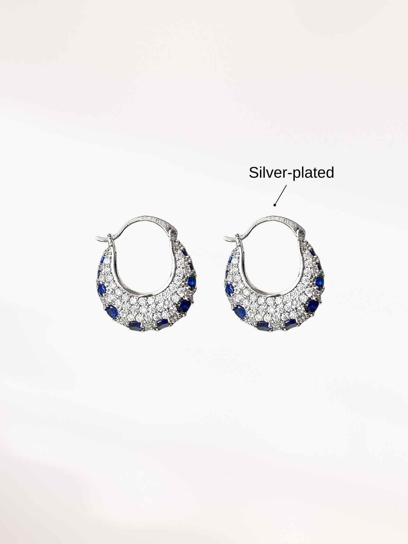 Silver Hoop Earrings