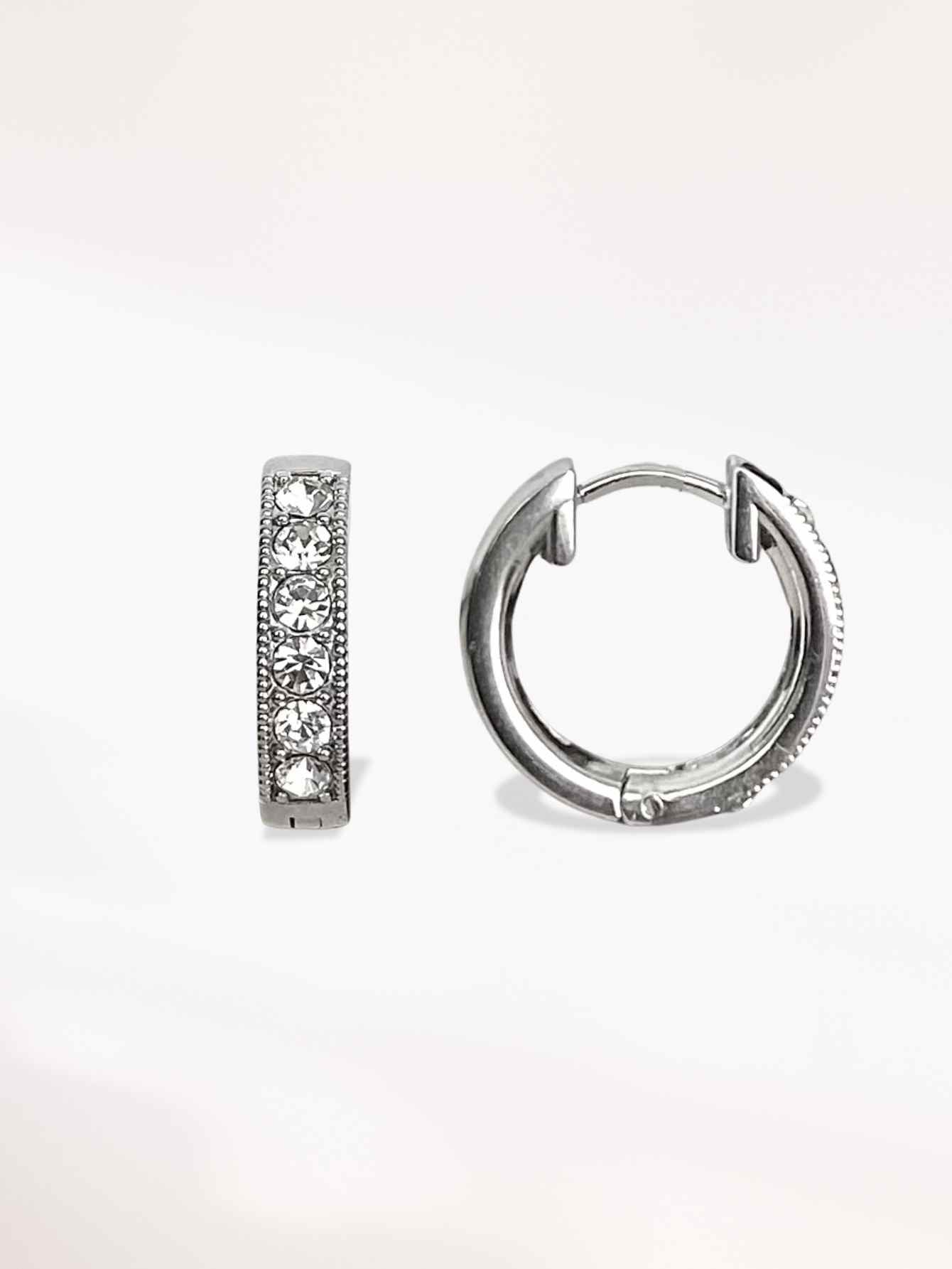 Silver Hoop Earrings