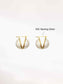 Shell Earrings